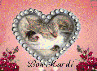 Gif animé Bon mardi chat